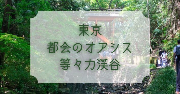 東京 都会のオアシス 等々力渓谷 駅から徒歩３分の日帰り旅 ゆーかりブログ